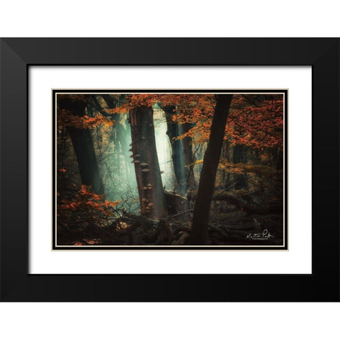 Beautiful Mess Black Modern Wood Framed Art Print with Double Matting by Podt, Martin