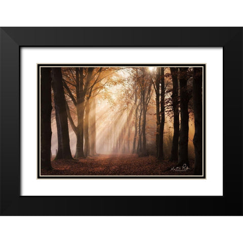 Look for the Light in All Things Black Modern Wood Framed Art Print with Double Matting by Podt, Martin