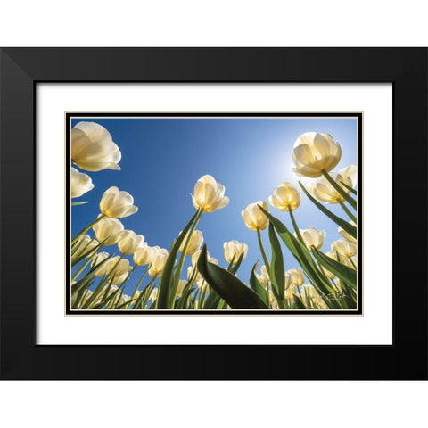 Look Up in White      Black Modern Wood Framed Art Print with Double Matting by Podt, Martin