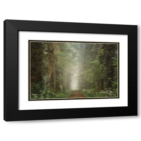 Misty Spring Road Black Modern Wood Framed Art Print with Double Matting by Podt, Martin