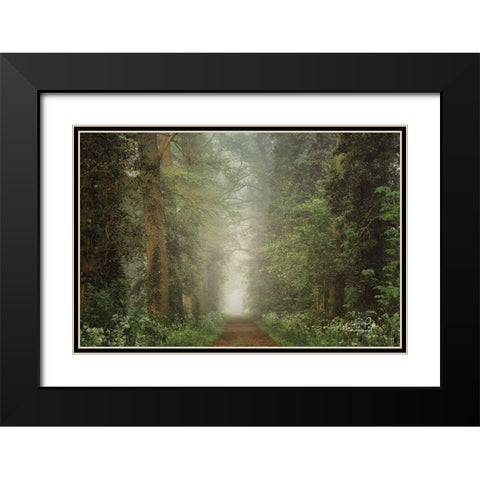 Misty Spring Road Black Modern Wood Framed Art Print with Double Matting by Podt, Martin