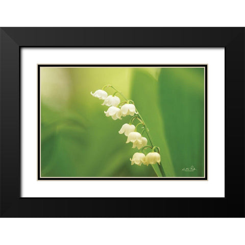 Lily of the Valley Black Modern Wood Framed Art Print with Double Matting by Podt, Martin
