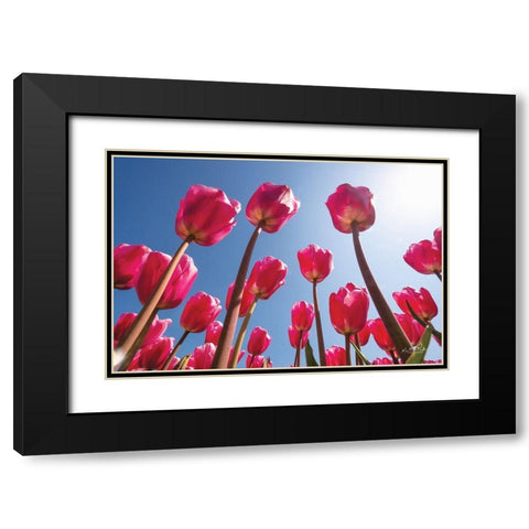 Look Up in Pink Black Modern Wood Framed Art Print with Double Matting by Podt, Martin