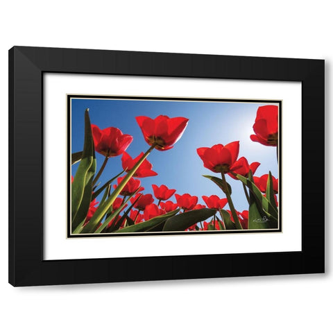 Look Up in Red Black Modern Wood Framed Art Print with Double Matting by Podt, Martin