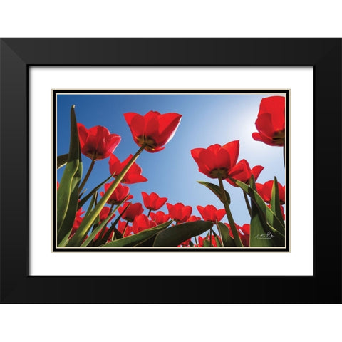 Look Up in Red Black Modern Wood Framed Art Print with Double Matting by Podt, Martin