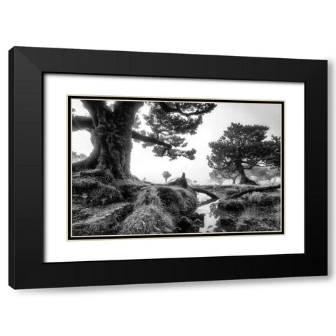 Black and White Fanal Black Modern Wood Framed Art Print with Double Matting by Podt, Martin