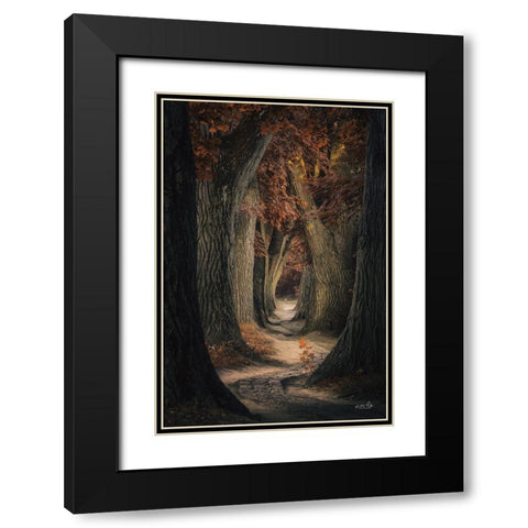 Same Old Path Black Modern Wood Framed Art Print with Double Matting by Podt, Martin