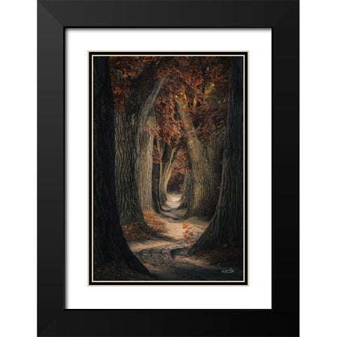 Same Old Path Black Modern Wood Framed Art Print with Double Matting by Podt, Martin