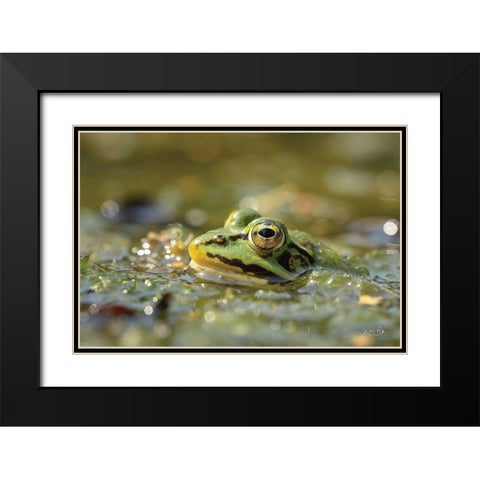 Frog Black Modern Wood Framed Art Print with Double Matting by Podt, Martin