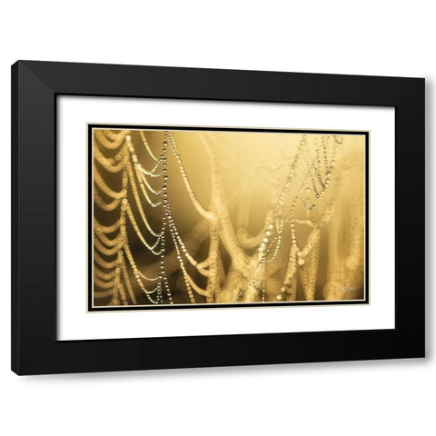Natures Jewels II Black Modern Wood Framed Art Print with Double Matting by Podt, Martin