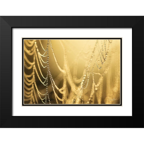 Natures Jewels II Black Modern Wood Framed Art Print with Double Matting by Podt, Martin