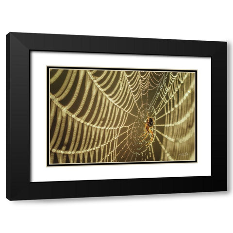 The Spider and Her Jewels Black Modern Wood Framed Art Print with Double Matting by Podt, Martin