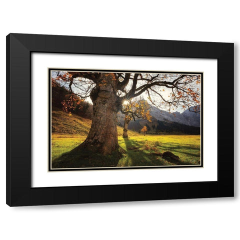 The Star Black Modern Wood Framed Art Print with Double Matting by Podt, Martin