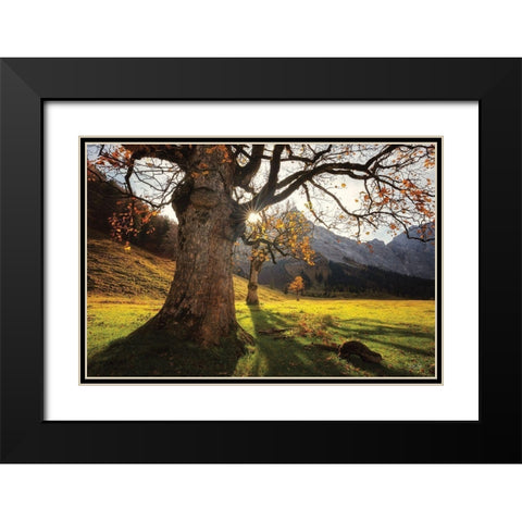 The Star Black Modern Wood Framed Art Print with Double Matting by Podt, Martin