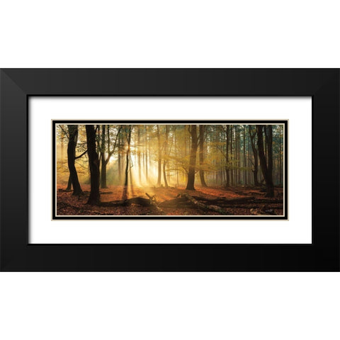 Speulderbos Panorama Black Modern Wood Framed Art Print with Double Matting by Podt, Martin