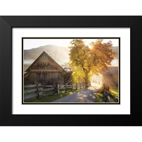 Autumn Road Black Modern Wood Framed Art Print with Double Matting by Podt, Martin