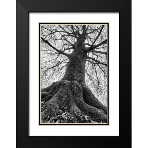 The Giant I Black Modern Wood Framed Art Print with Double Matting by Podt, Martin