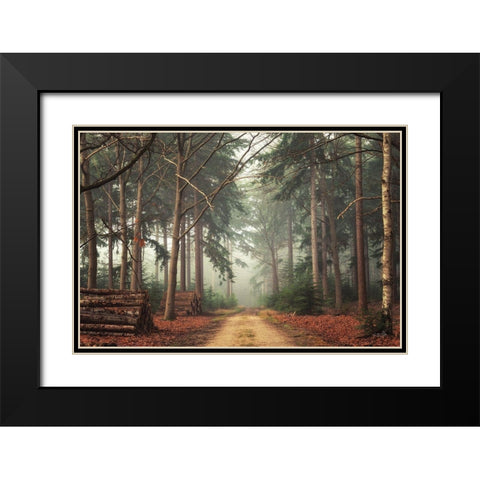 Harvesting Time Black Modern Wood Framed Art Print with Double Matting by Podt, Martin