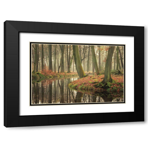 Rising Hope Black Modern Wood Framed Art Print with Double Matting by Podt, Martin