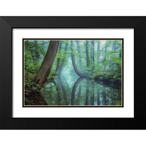 Moody Reflections Black Modern Wood Framed Art Print with Double Matting by Podt, Martin