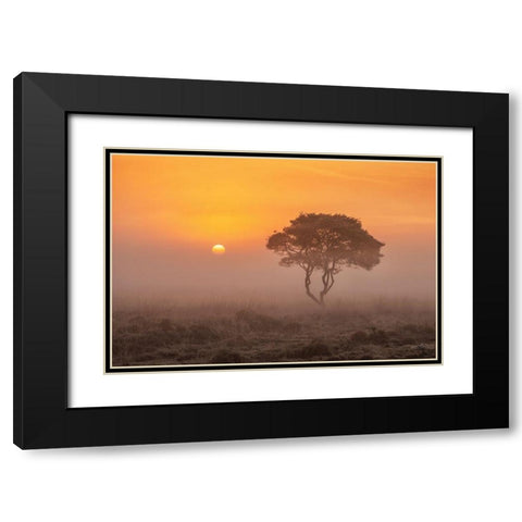 Enjoy the Silence I Black Modern Wood Framed Art Print with Double Matting by Podt, Martin