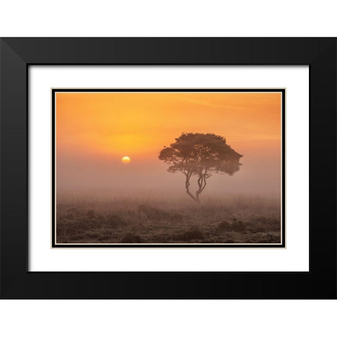 Enjoy the Silence I Black Modern Wood Framed Art Print with Double Matting by Podt, Martin