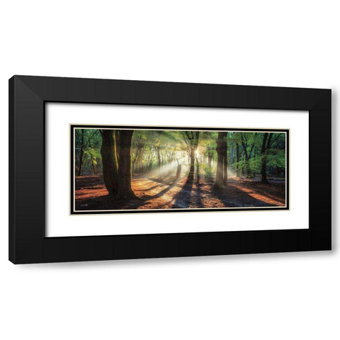 Sun Rays in the Forest I Black Modern Wood Framed Art Print with Double Matting by Podt, Martin
