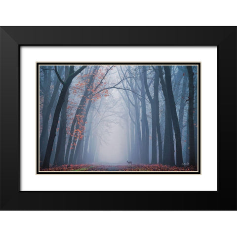 Oh Deer! Black Modern Wood Framed Art Print with Double Matting by Podt, Martin