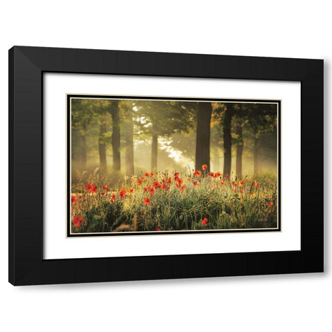 The Poppy Forest Black Modern Wood Framed Art Print with Double Matting by Podt, Martin