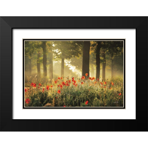 The Poppy Forest Black Modern Wood Framed Art Print with Double Matting by Podt, Martin