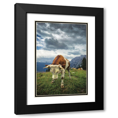 Bowing Cow Black Modern Wood Framed Art Print with Double Matting by Podt, Martin