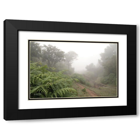 Fern Path Black Modern Wood Framed Art Print with Double Matting by Podt, Martin