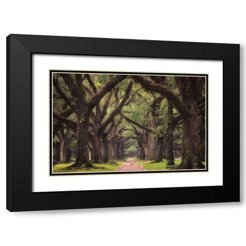 Lane of Oaks Black Modern Wood Framed Art Print with Double Matting by Podt, Martin