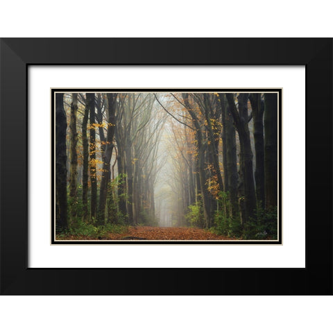The Unknown Road    Black Modern Wood Framed Art Print with Double Matting by Podt, Martin