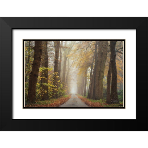 Autumnal Moodiness    Black Modern Wood Framed Art Print with Double Matting by Podt, Martin
