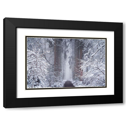 White Vignette  Black Modern Wood Framed Art Print with Double Matting by Podt, Martin