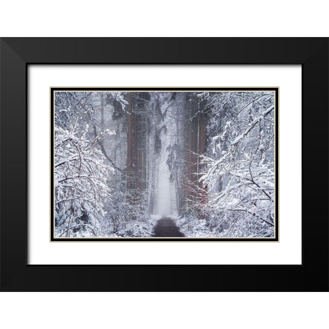White Vignette  Black Modern Wood Framed Art Print with Double Matting by Podt, Martin