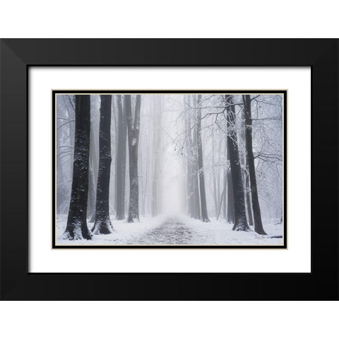 Whiteout  Black Modern Wood Framed Art Print with Double Matting by Podt, Martin
