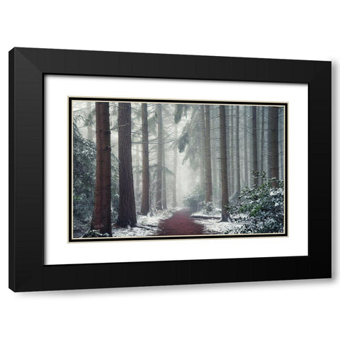 Red Carpet Black Modern Wood Framed Art Print with Double Matting by Podt, Martin