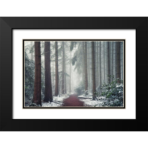 Red Carpet Black Modern Wood Framed Art Print with Double Matting by Podt, Martin