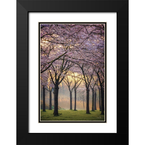 Cherry Trees at Sunrise Black Modern Wood Framed Art Print with Double Matting by Podt, Martin