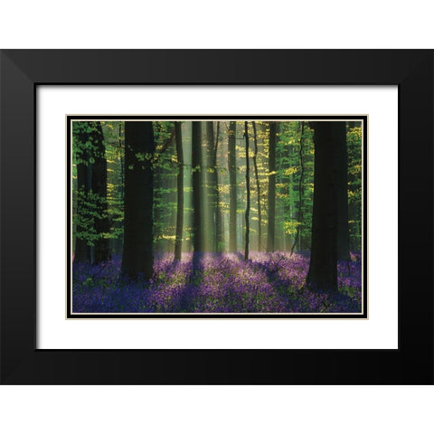 Perfect Spring Scene Black Modern Wood Framed Art Print with Double Matting by Podt, Martin