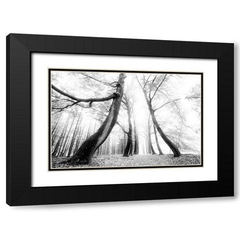 The Gatekeeper   Black Modern Wood Framed Art Print with Double Matting by Podt, Martin