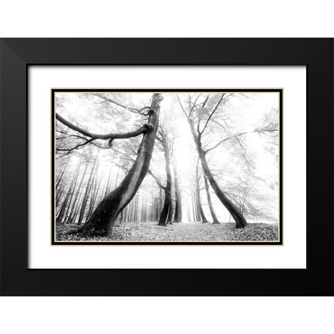 The Gatekeeper   Black Modern Wood Framed Art Print with Double Matting by Podt, Martin
