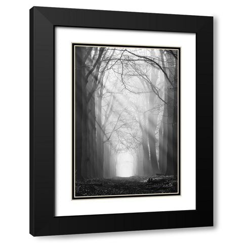 Sunray Path   Black Modern Wood Framed Art Print with Double Matting by Podt, Martin
