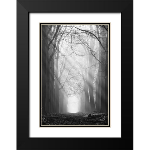 Sunray Path   Black Modern Wood Framed Art Print with Double Matting by Podt, Martin