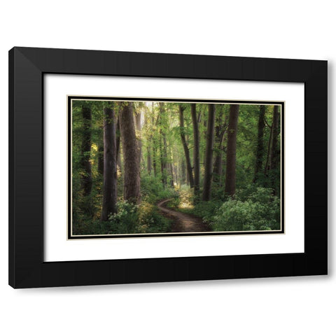 Spring Chaos Black Modern Wood Framed Art Print with Double Matting by Podt, Martin