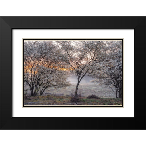 Spring Bushes Black Modern Wood Framed Art Print with Double Matting by Podt, Martin