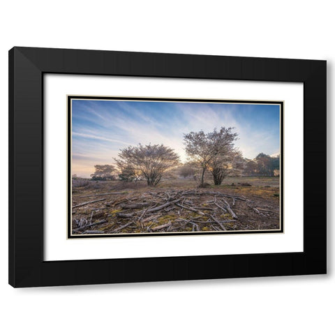 Spring Bushes at Sunrise Black Modern Wood Framed Art Print with Double Matting by Podt, Martin