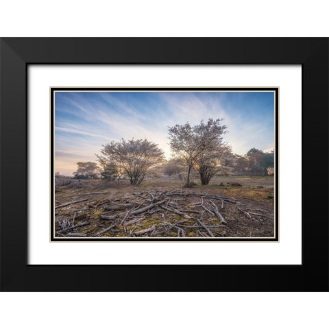 Spring Bushes at Sunrise Black Modern Wood Framed Art Print with Double Matting by Podt, Martin